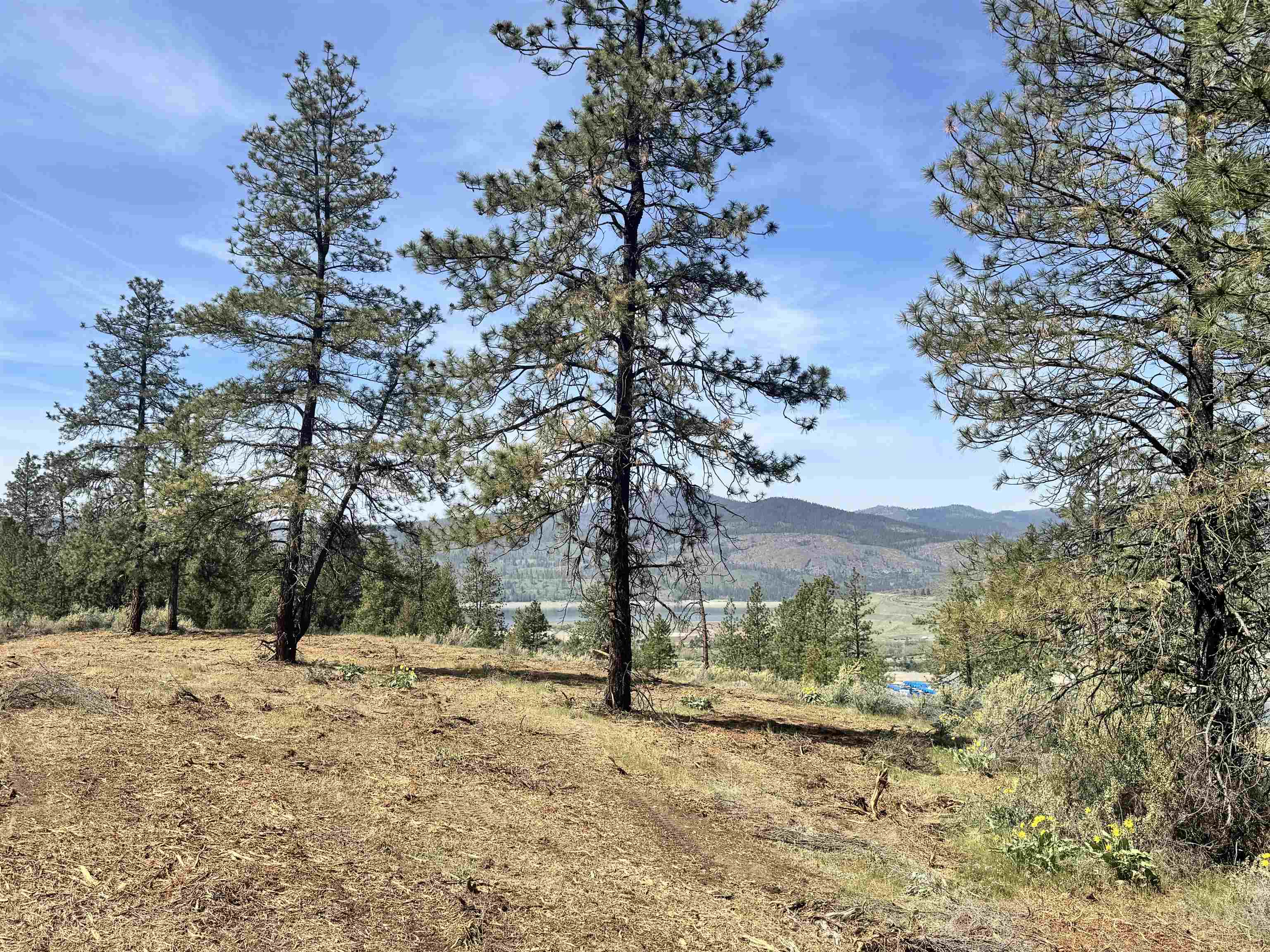 31625 E Hume Rd - Photo 7