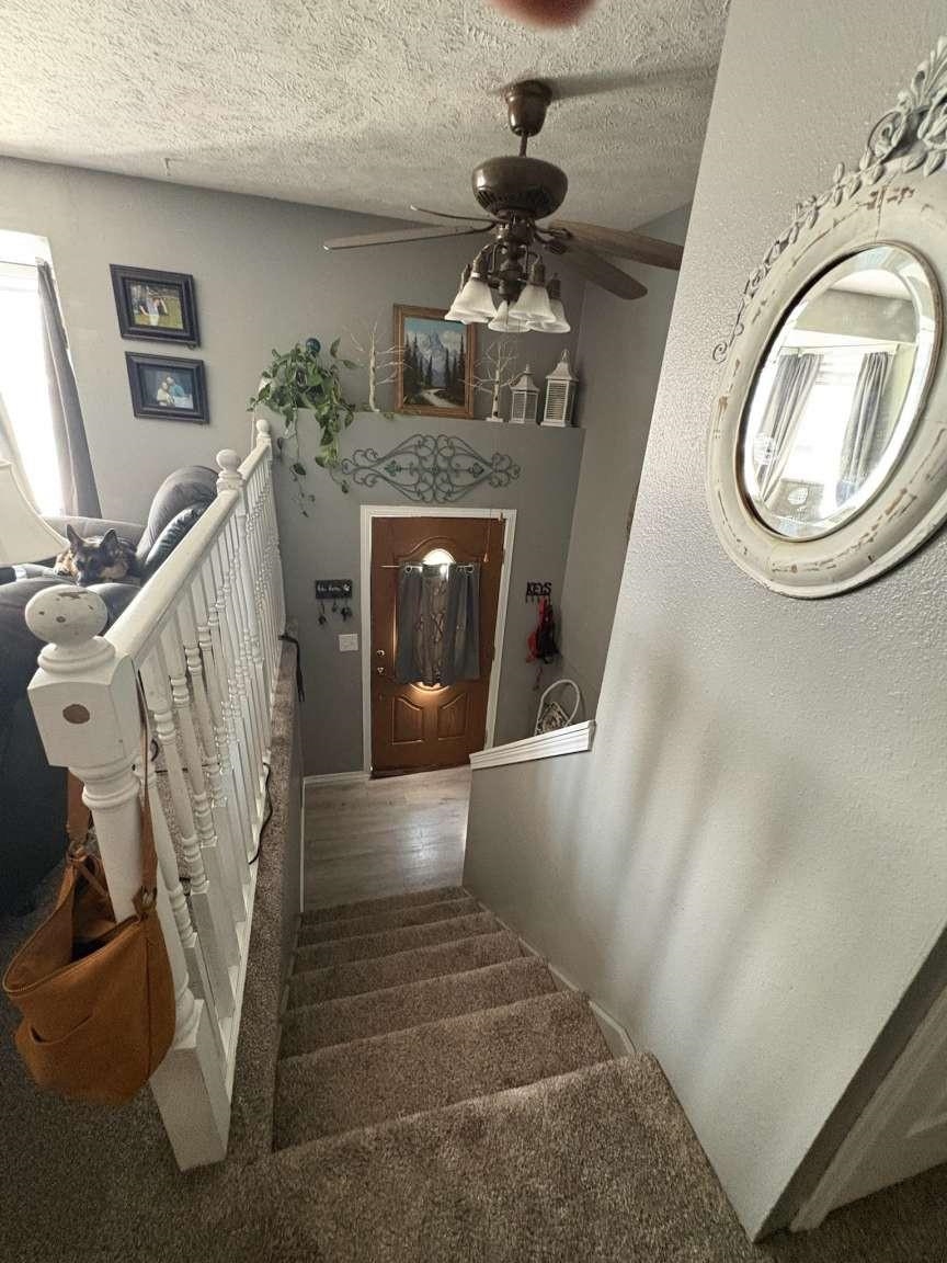 313 S BURNS Rd - Photo 9