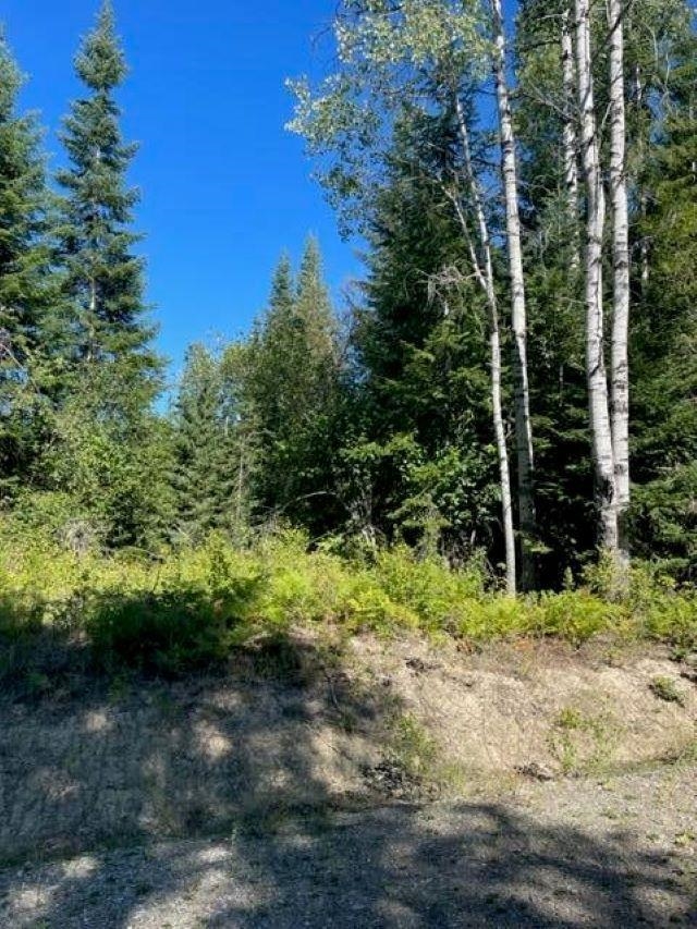3XX Lot 10 N Leclerc Rd - Photo 3