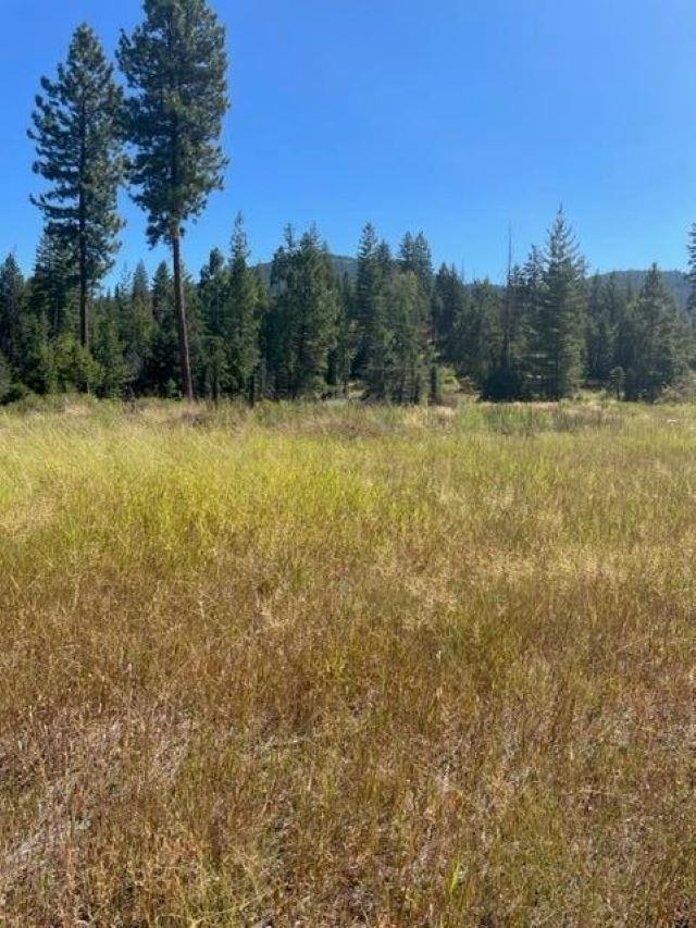 3XX Lot 10 N Leclerc Rd - Photo 17