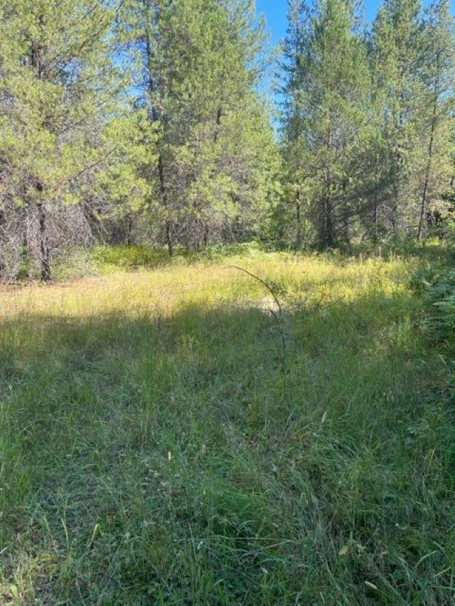 3XX Lot 10 N Leclerc Rd - Photo 20