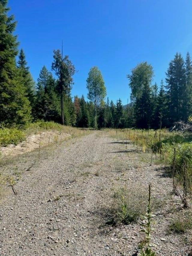 3XX Lot 11 N Leclerc Rd - Photo 2