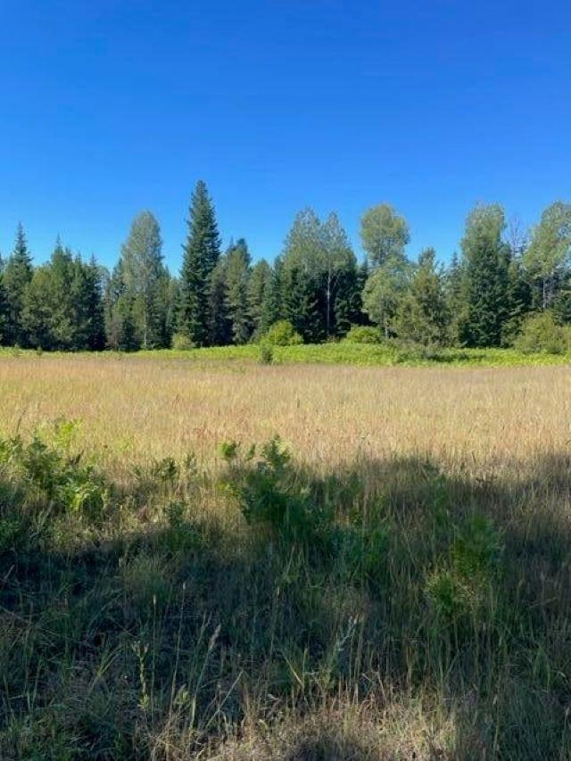 3XX Lot 11 N Leclerc Rd - Photo 9