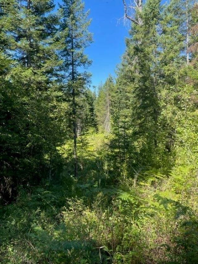 3XX Lot 11 N Leclerc Rd - Photo 12