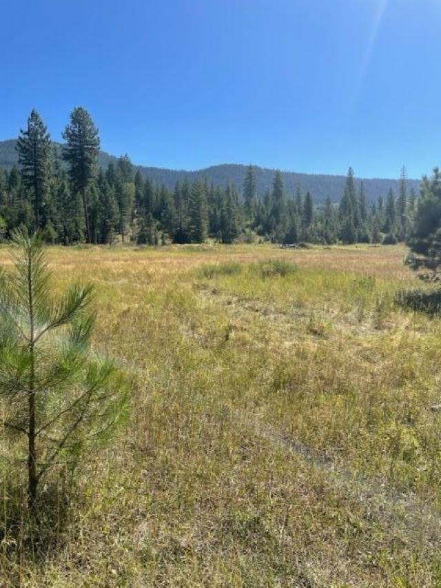3XX Lot 11 N Leclerc Rd - Photo 13