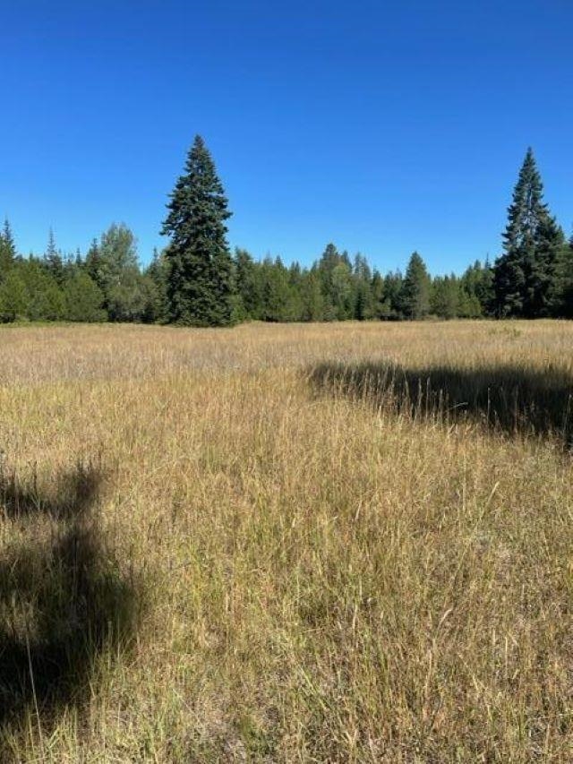3XX Lot 11 N Leclerc Rd - Photo 22