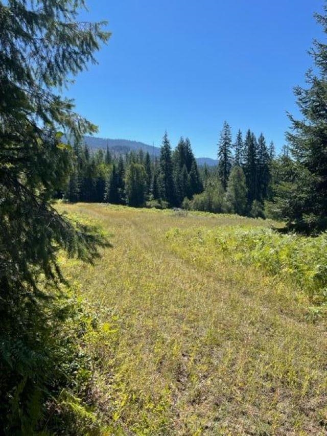 3XX Lot 12 N Leclerc Rd - Photo 5