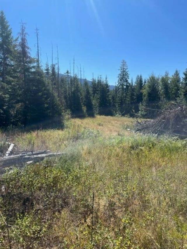 3XX Lot 12 N Leclerc Rd - Photo 7