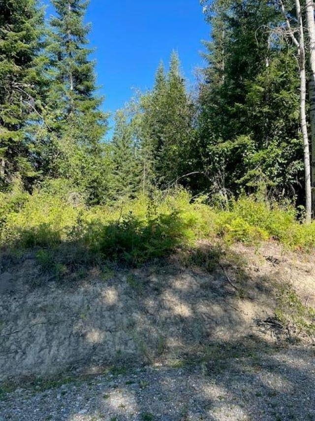 3XX Lot 12 N Leclerc Rd - Photo 18