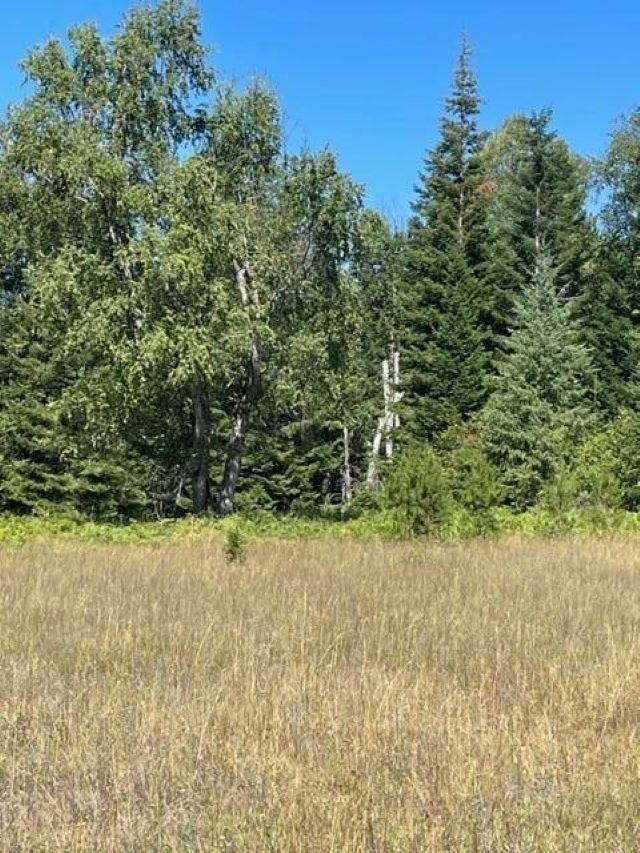 3XX Lot 12 N Leclerc Rd - Photo 21