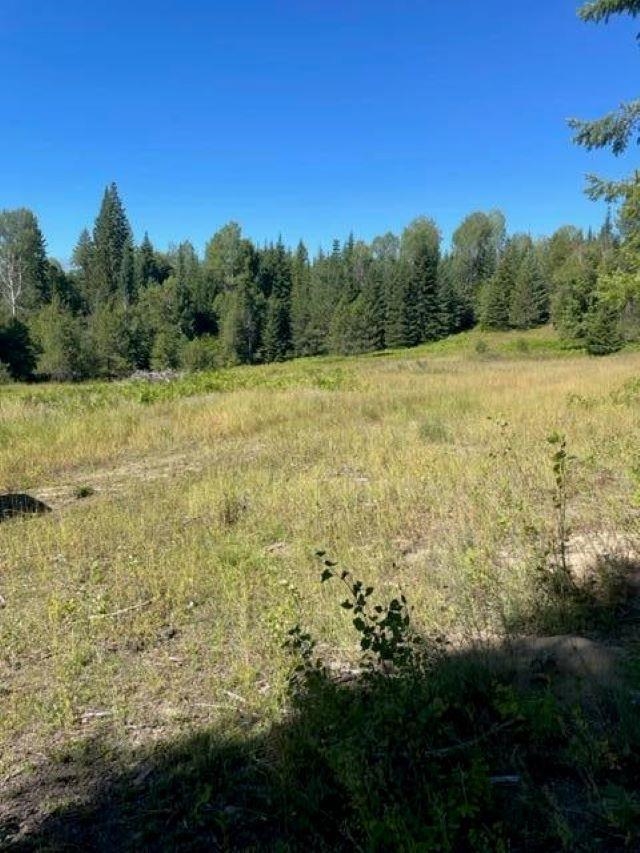 3XX Lot 13 N Leclerc Rd - Photo 6
