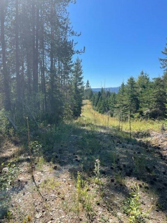 3XX Lot 13 N Leclerc Rd - Photo 14