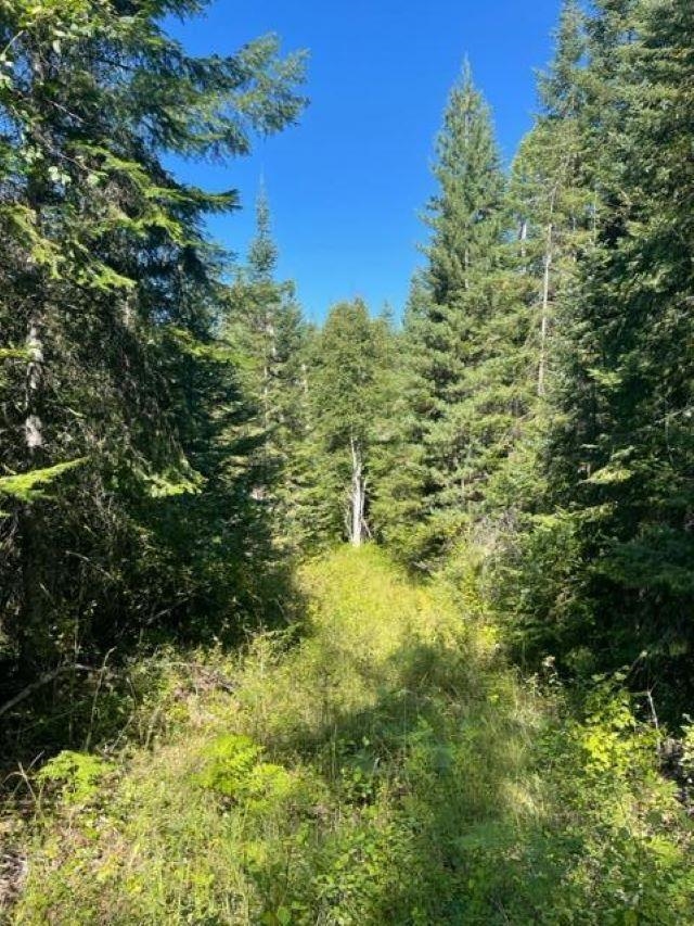 3XX Lot 14 N Leclerc Rd - Photo 4