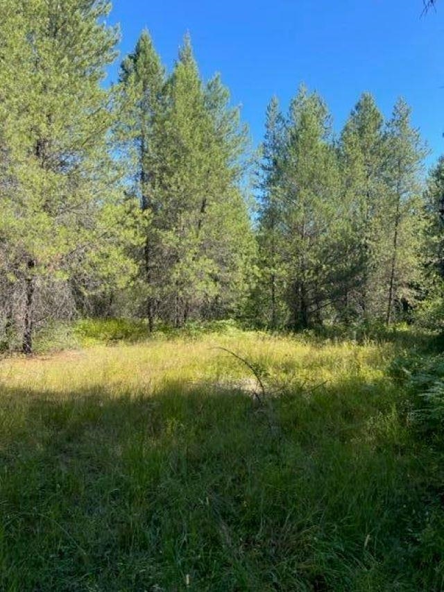 3XX Lot 14 N Leclerc Rd - Photo 8