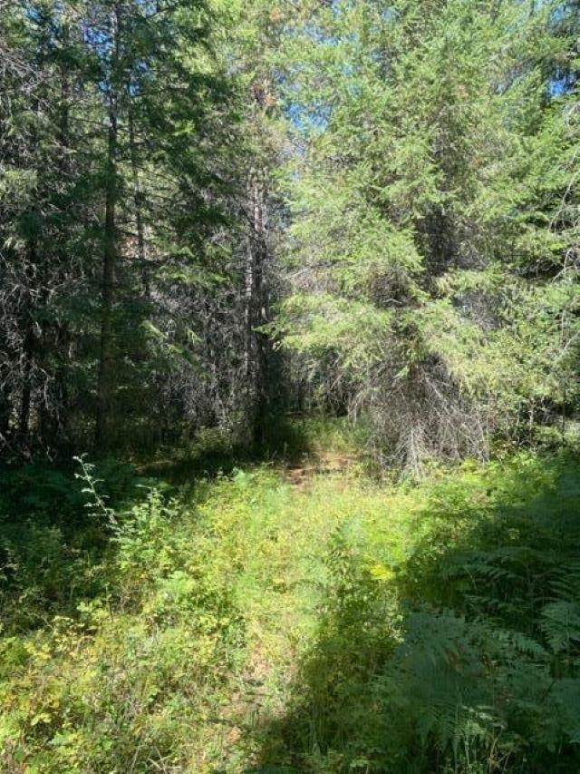 3XX Lot 14 N Leclerc Rd - Photo 19