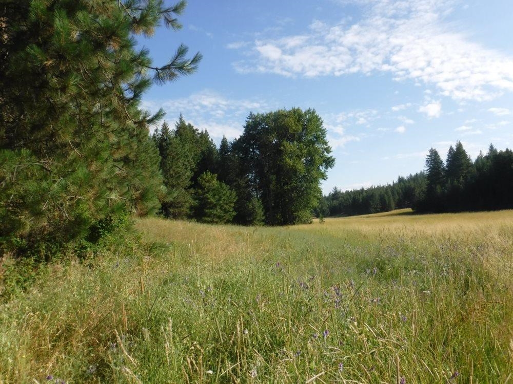 Lot 1 SW Moose Ridge Way - Photo 1