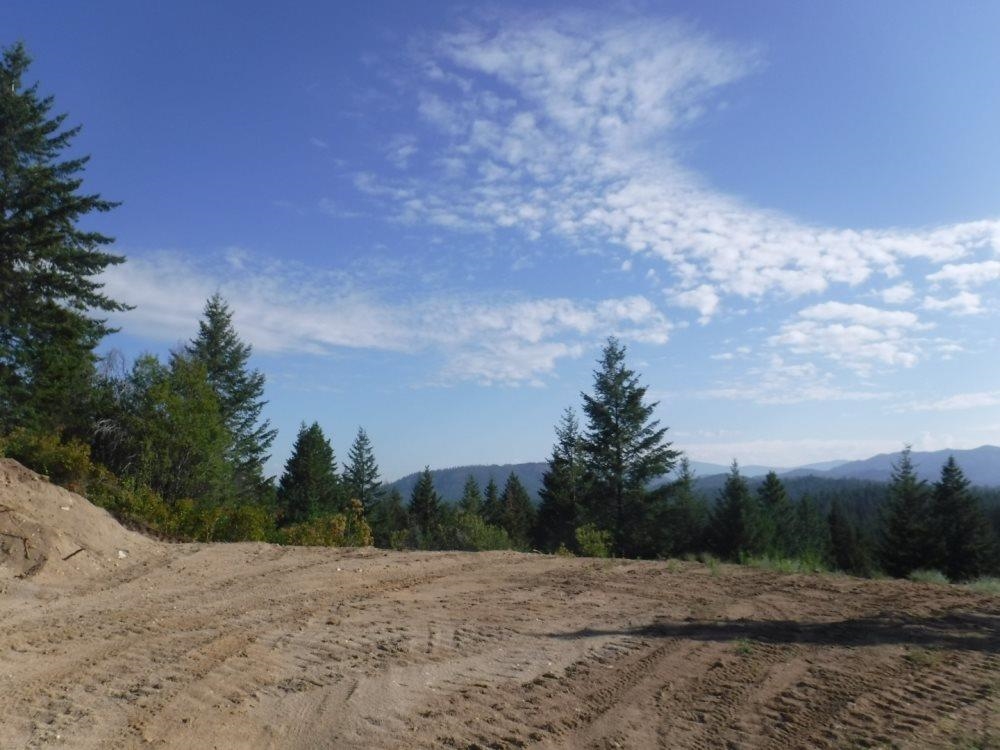 Lot 1 SW Moose Ridge Way - Photo 3