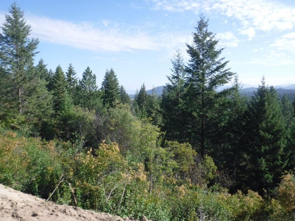 Lot 1 SW Moose Ridge Way - Photo 4