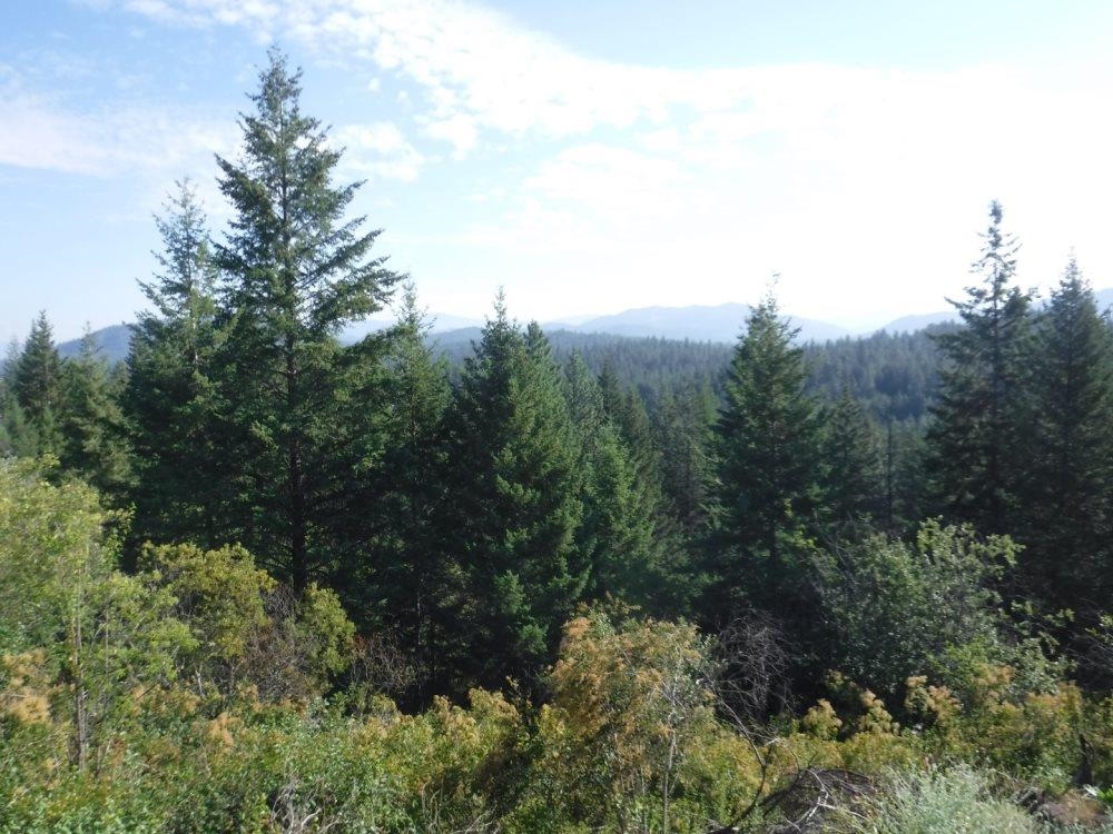 Lot 1 SW Moose Ridge Way - Photo 5