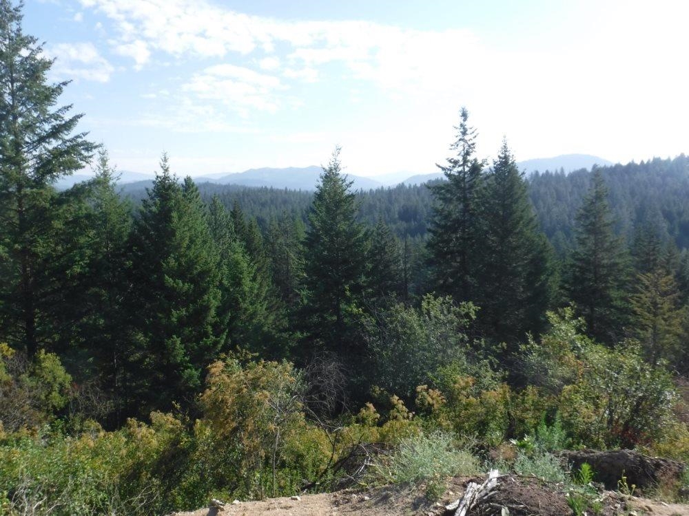 Lot 1 SW Moose Ridge Way - Photo 6