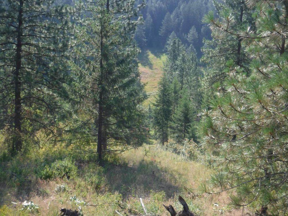 Lot 1 SW Moose Ridge Way - Photo 7