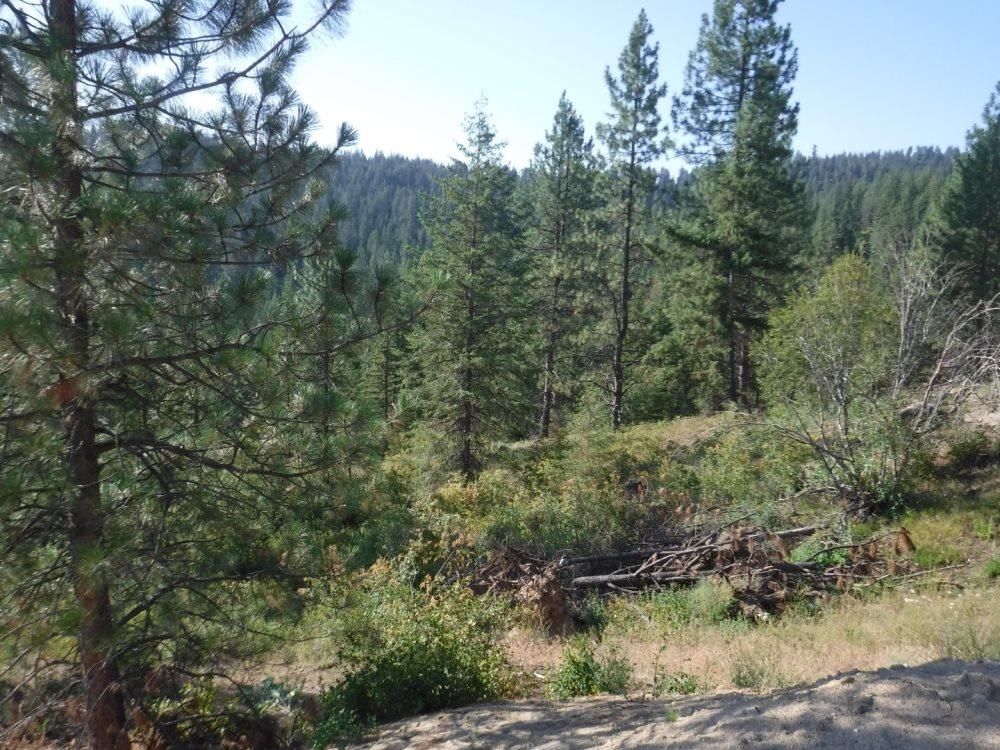 Lot 1 SW Moose Ridge Way - Photo 8