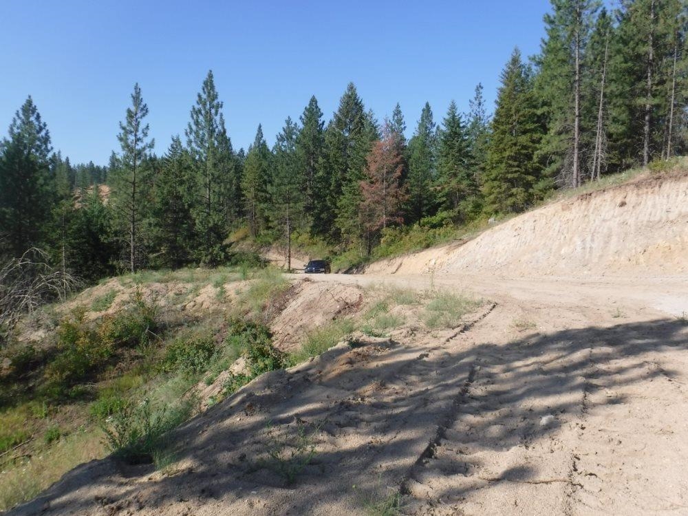 Lot 1 SW Moose Ridge Way - Photo 9