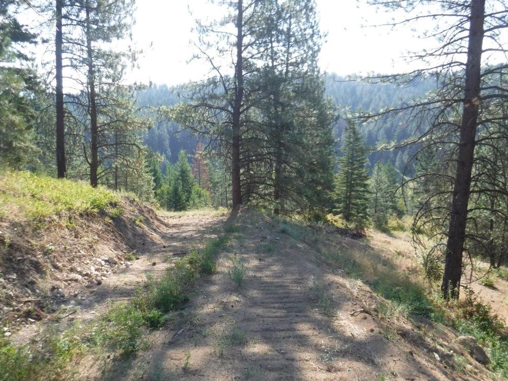 Lot 1 SW Moose Ridge Way - Photo 10