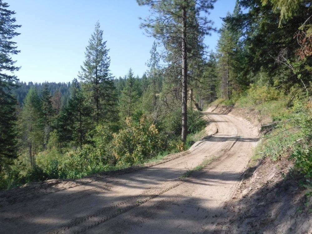 Lot 1 SW Moose Ridge Way - Photo 11