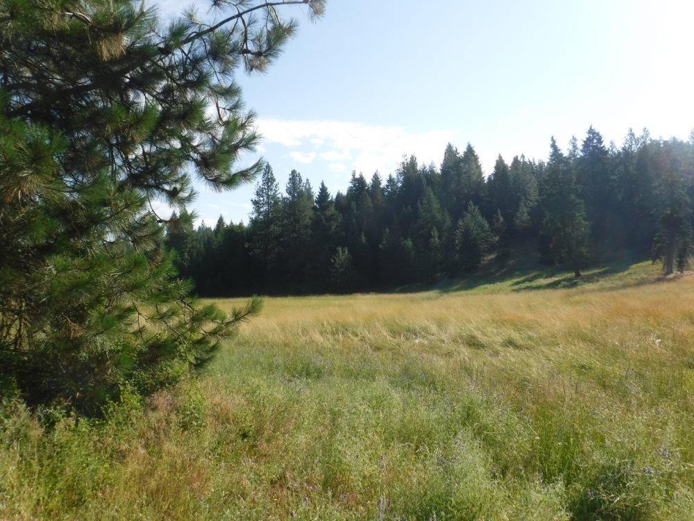 Lot 1 SW Moose Ridge Way - Photo 12