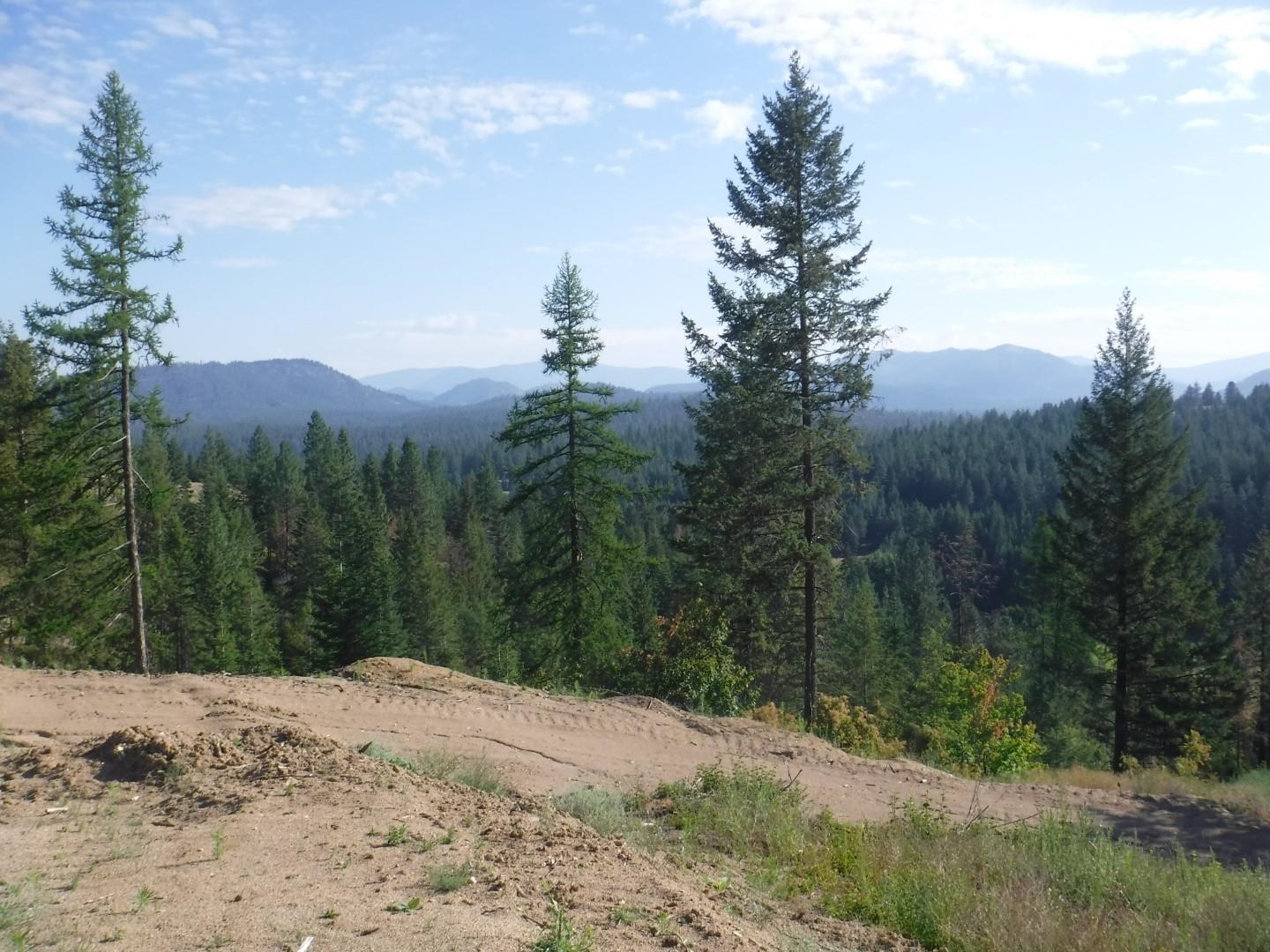 Lot 2 Moose Ridge Way - Photo 1