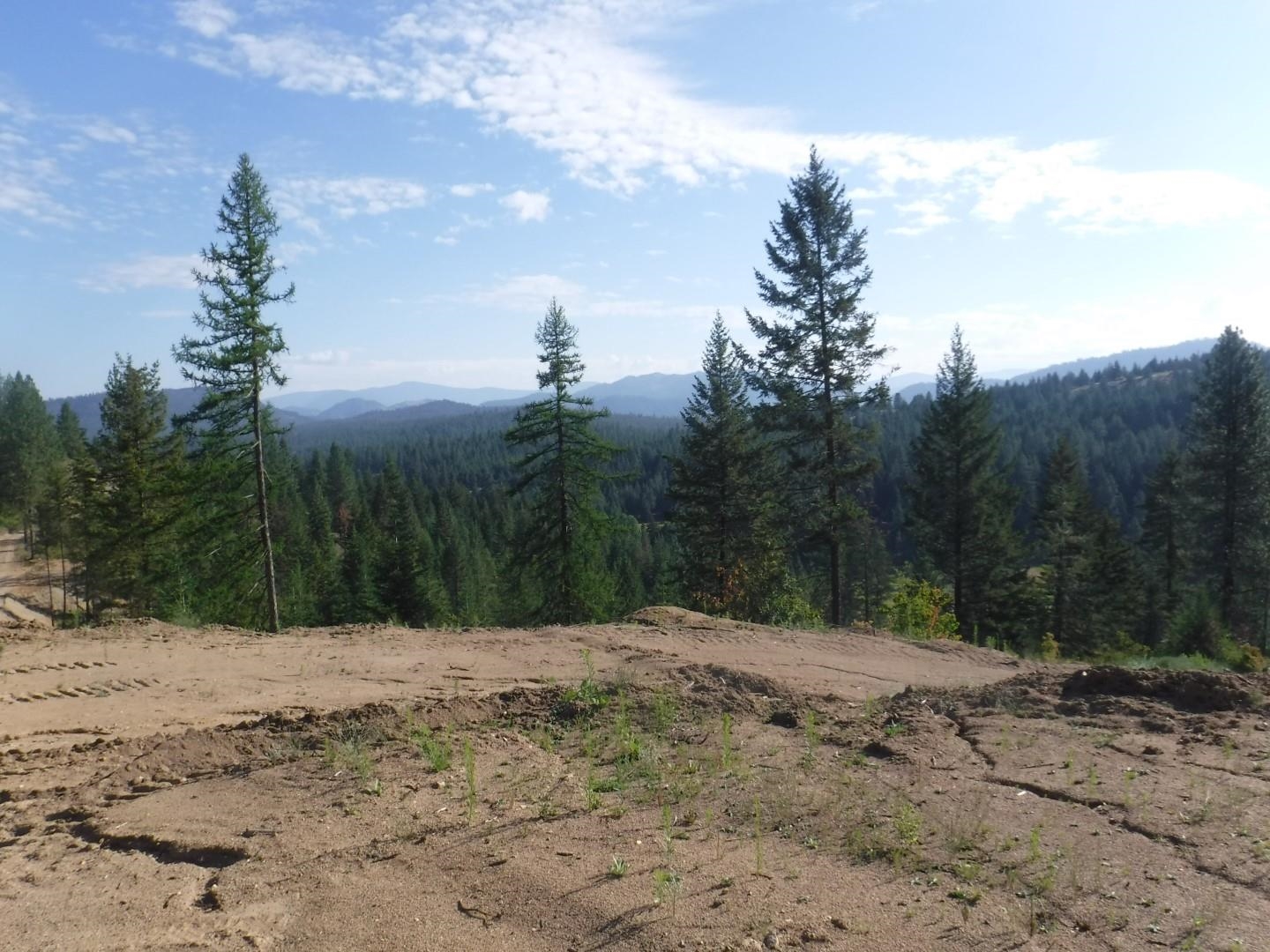 Lot 2 Moose Ridge Way - Photo 2