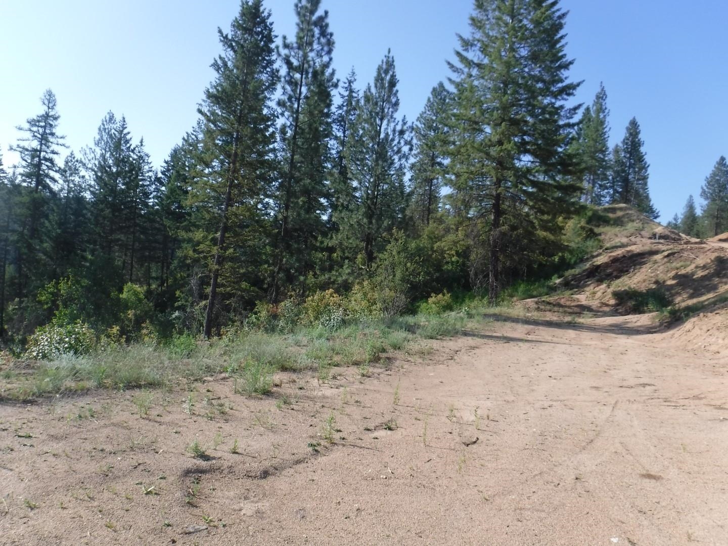 Lot 2 Moose Ridge Way - Photo 3