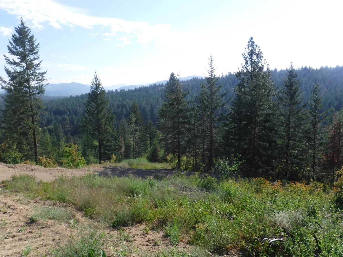 Lot 2 Moose Ridge Way - Photo 5