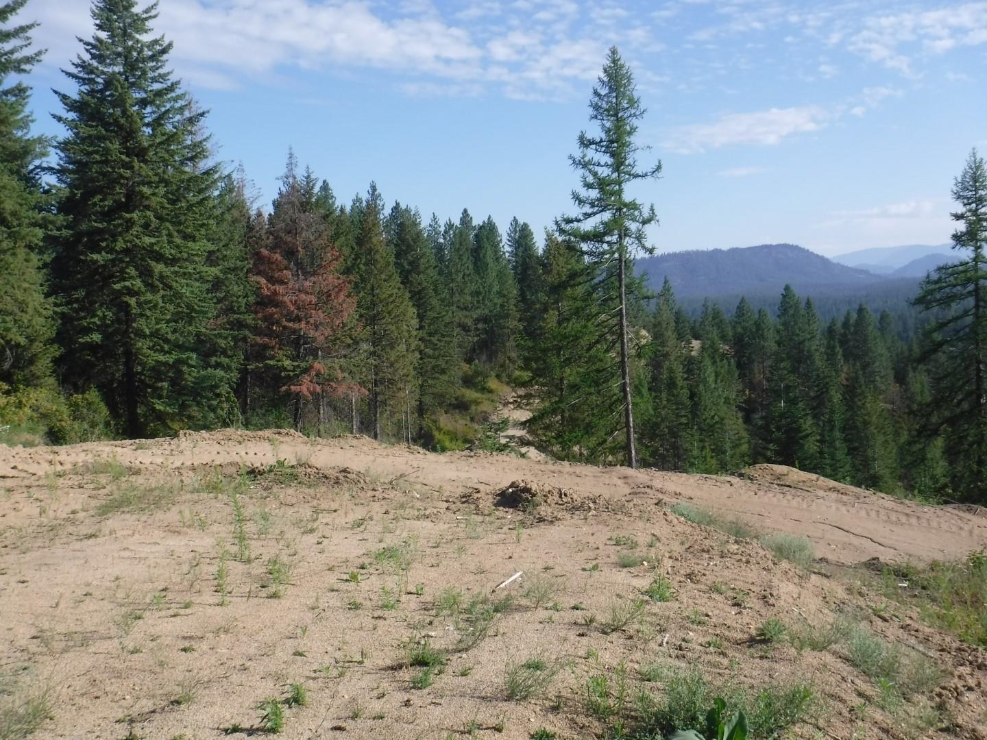 Lot 2 Moose Ridge Way - Photo 6