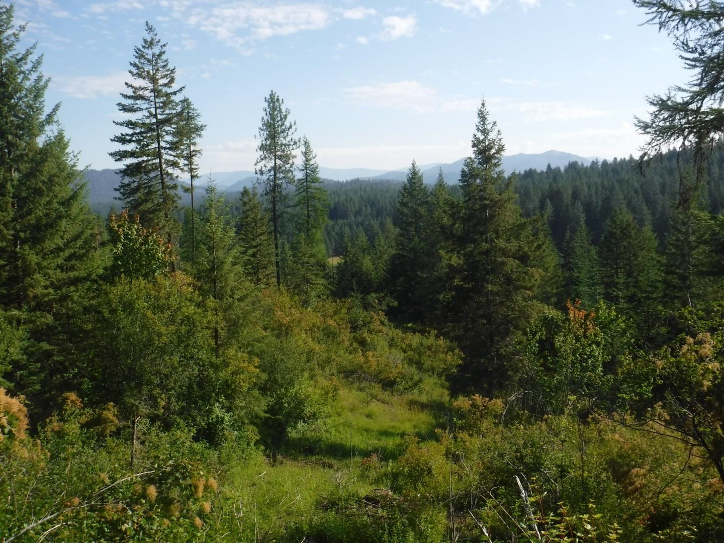 Lot 2 Moose Ridge Way - Photo 7