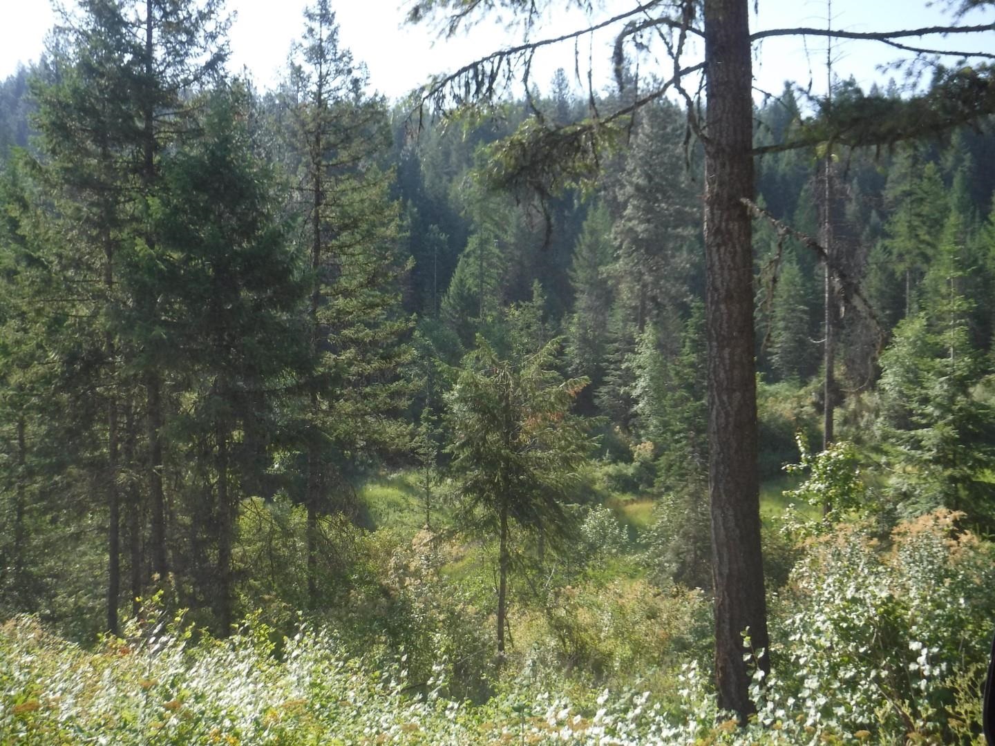 Lot 2 Moose Ridge Way - Photo 8