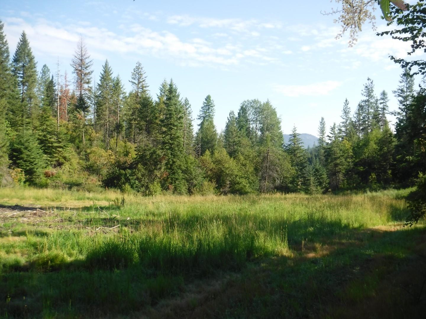 Lot 2 Moose Ridge Way - Photo 9