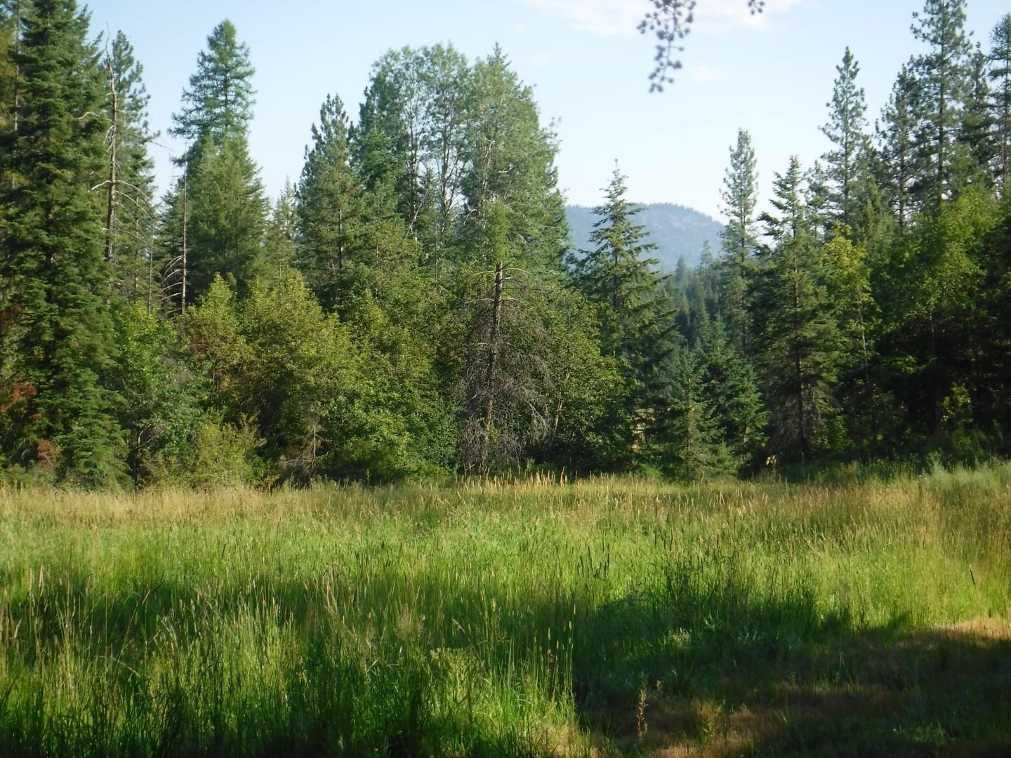 Lot 2 Moose Ridge Way - Photo 10