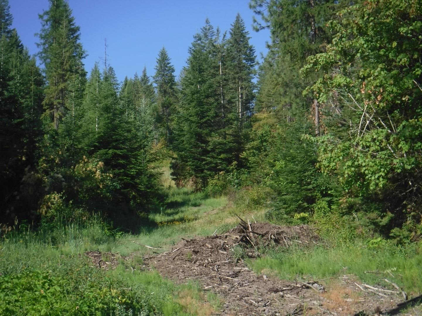 Lot 2 Moose Ridge Way - Photo 11