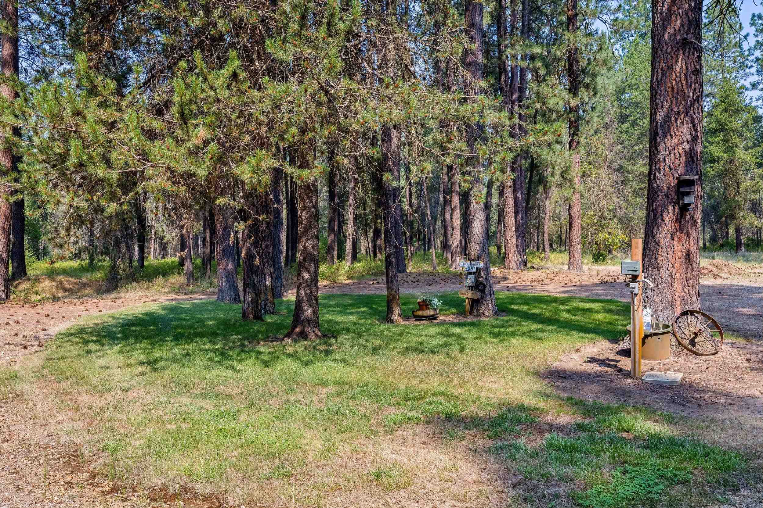 31315 N Cedar Rd - Photo 44
