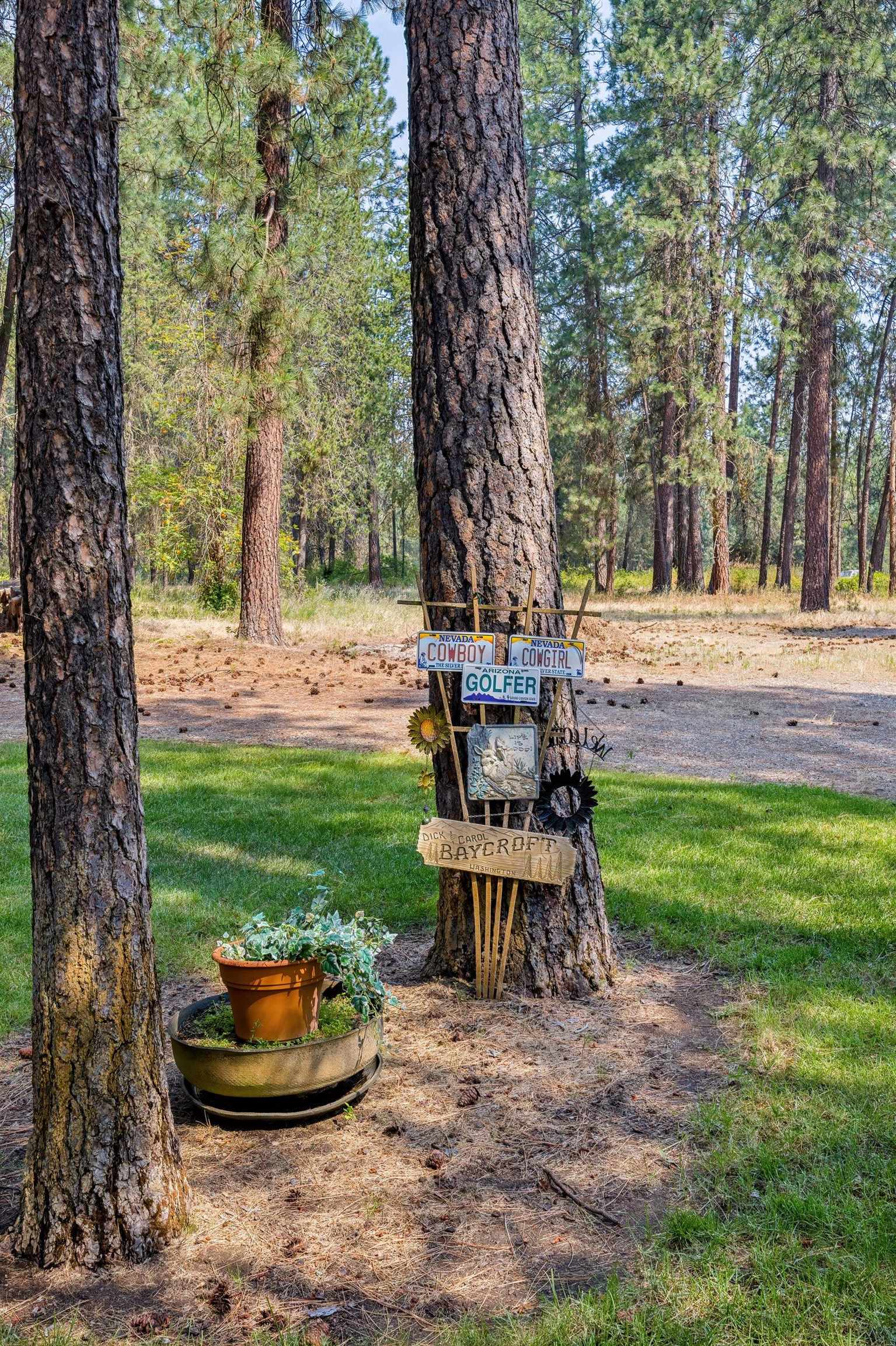 31315 N Cedar Rd - Photo 45