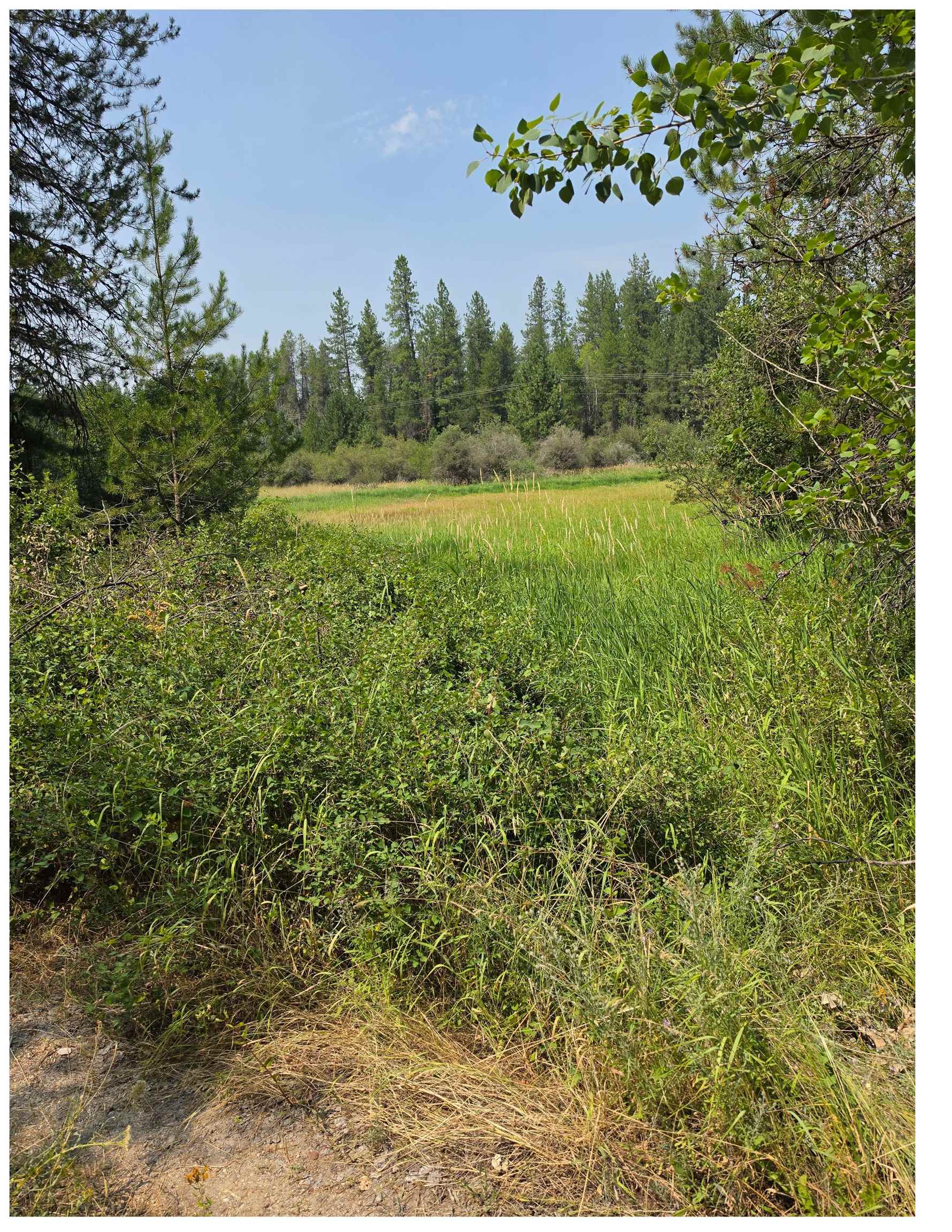 NNA HWY 20 & MC CLOUD CREEK Rd - Photo 8