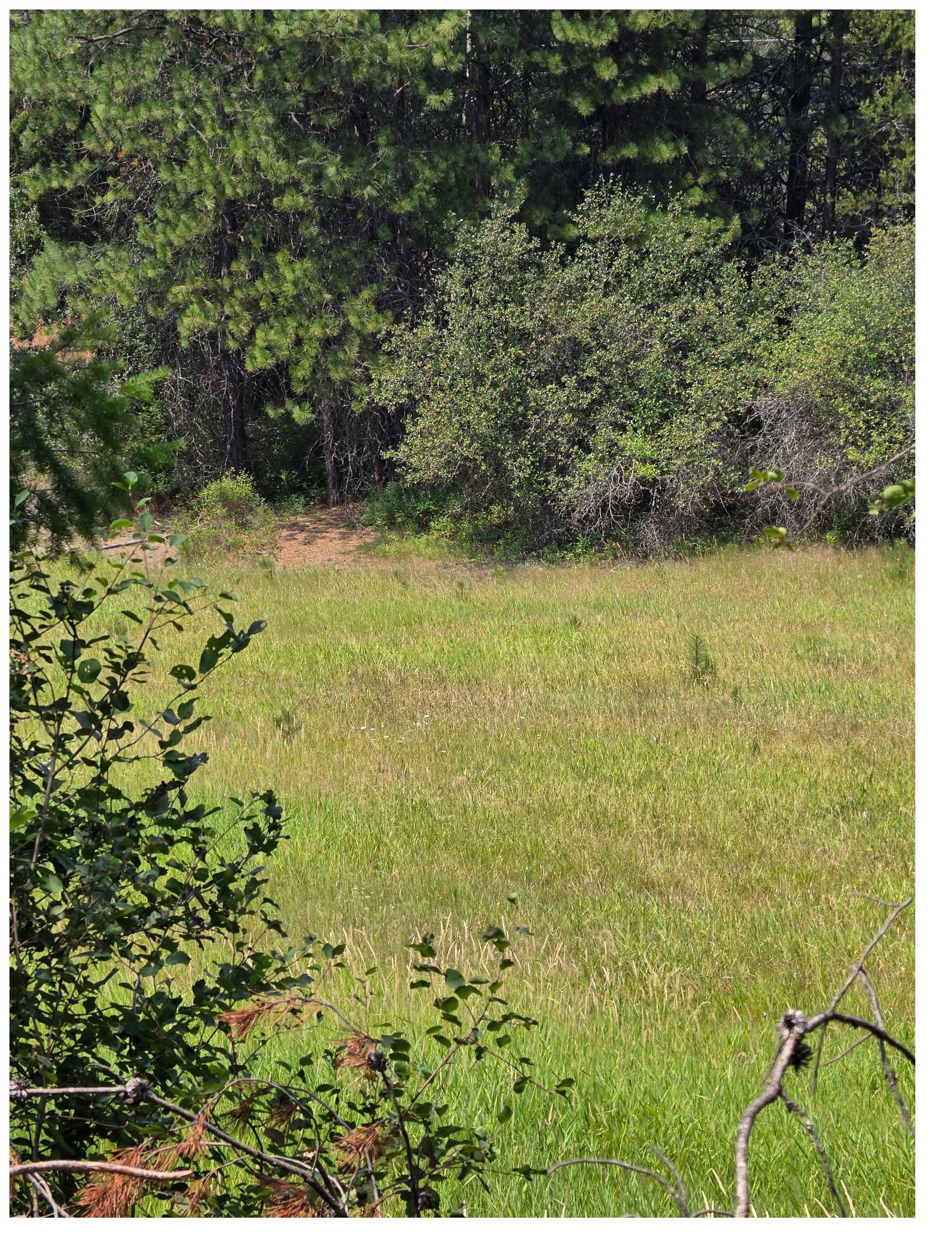 NNA HWY 20 & MC CLOUD CREEK Rd - Photo 9