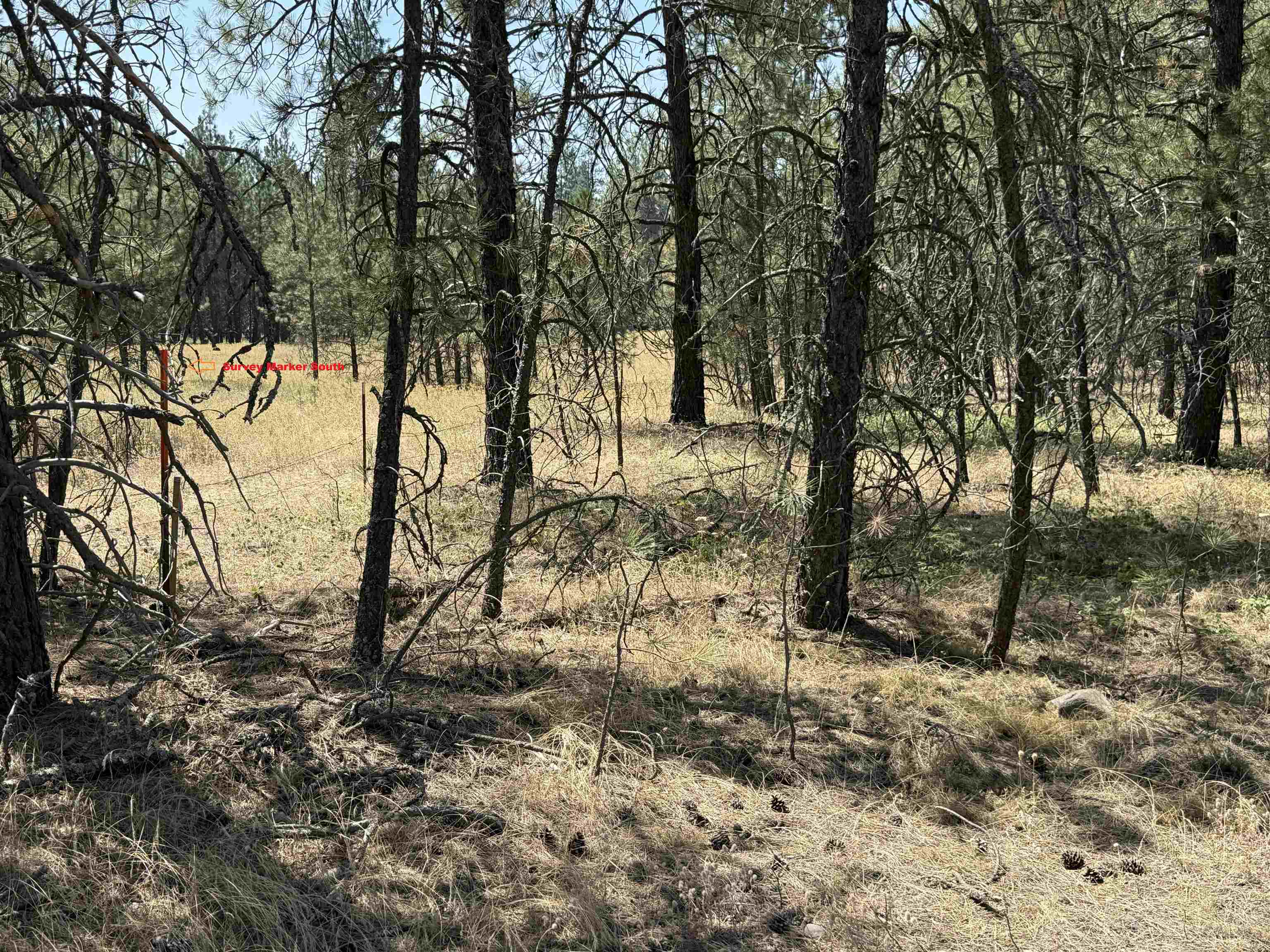 27719 N Regal Rd - Photo 3