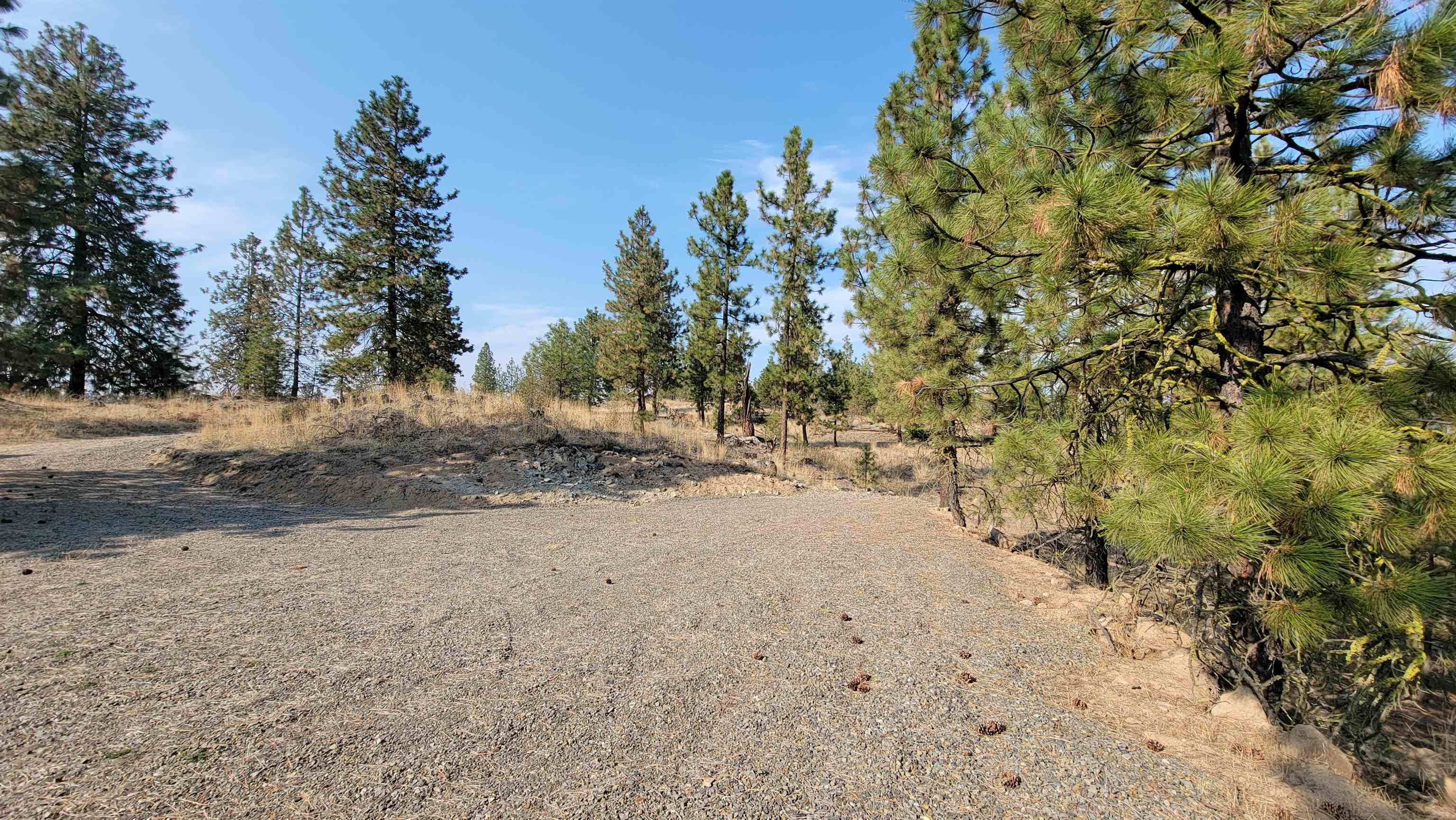 5300 Moose Tracks Way - Photo 1