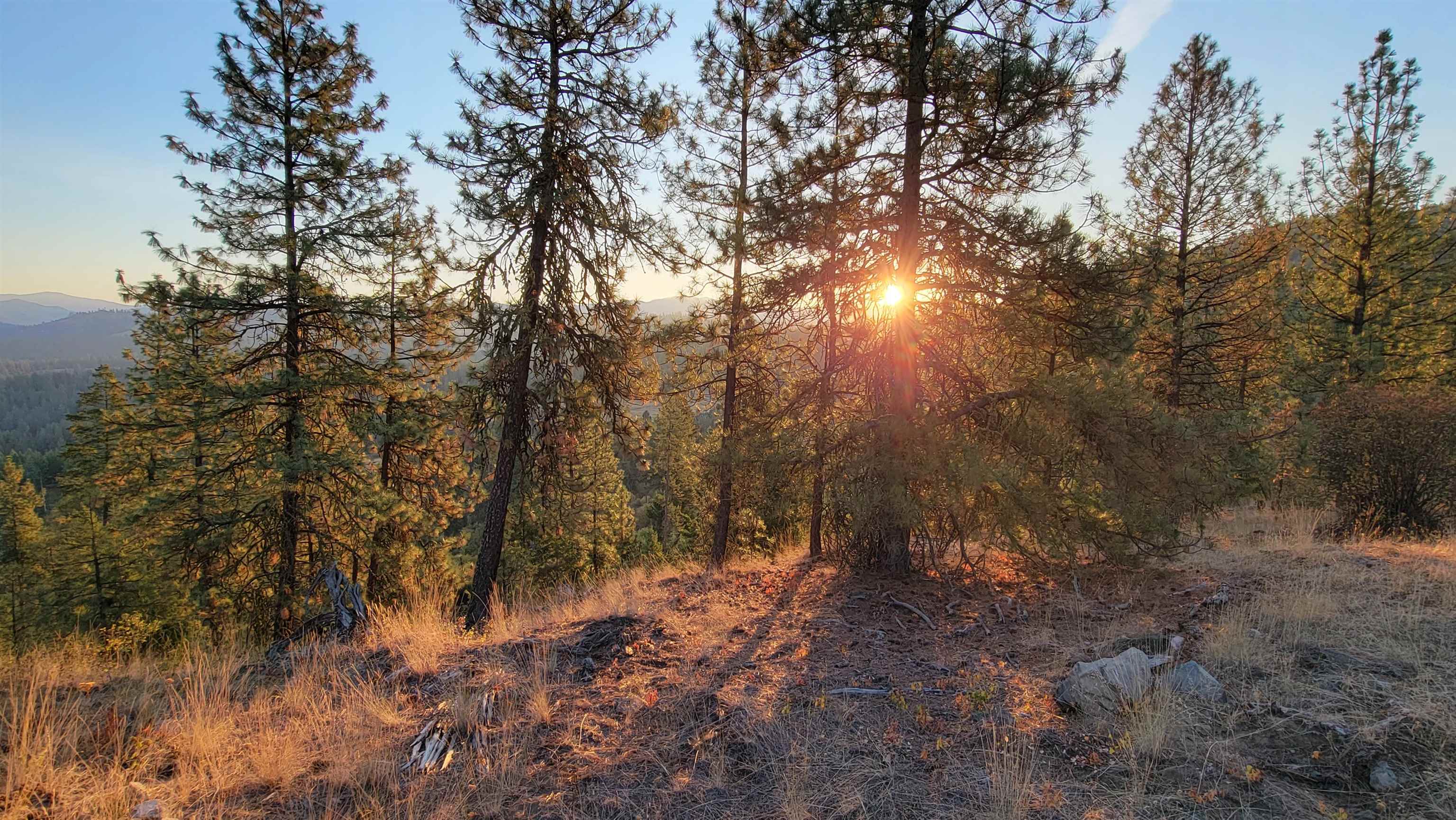 5300 Moose Tracks Way - Photo 3