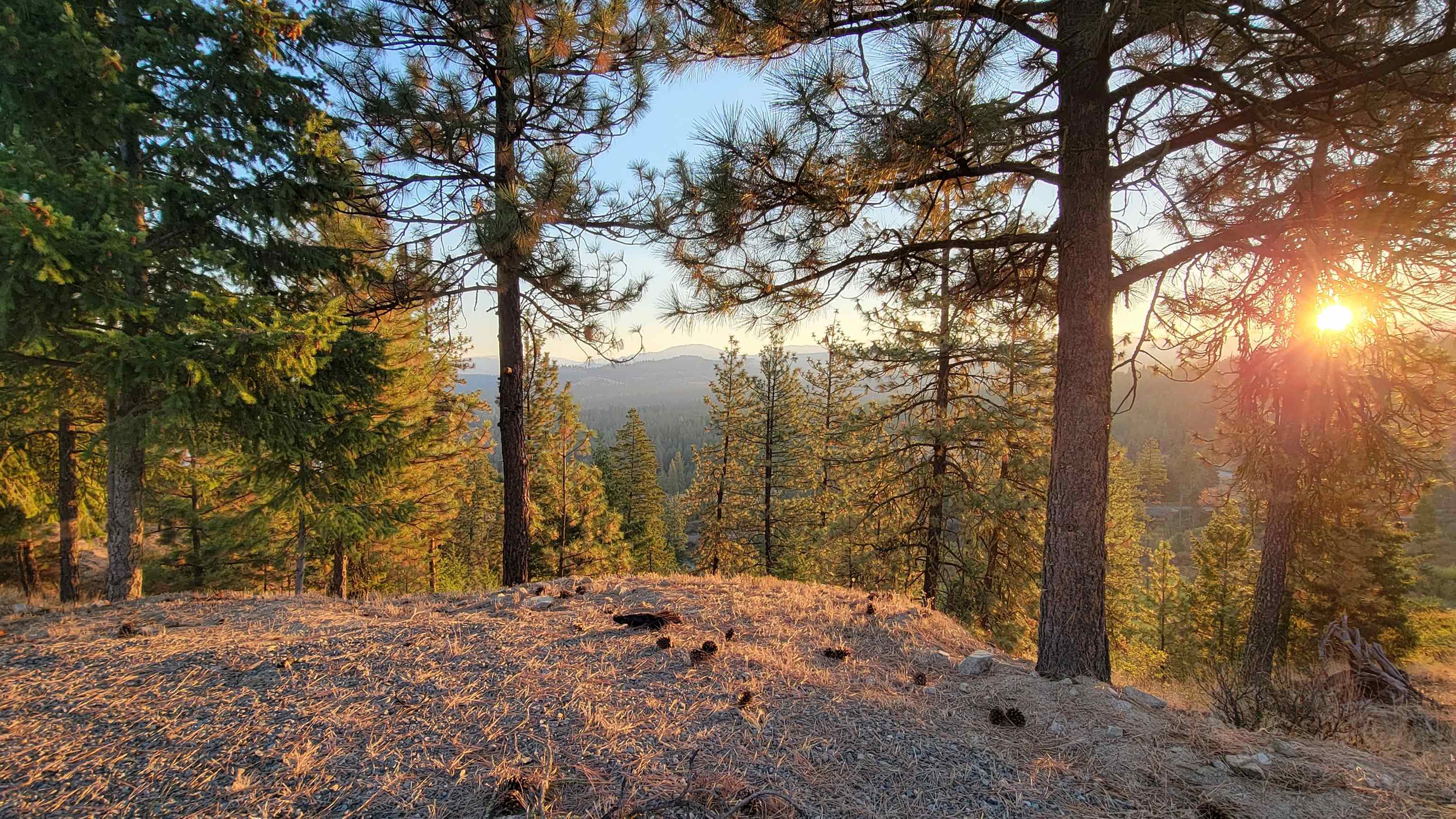 5300 Moose Tracks Way - Photo 4