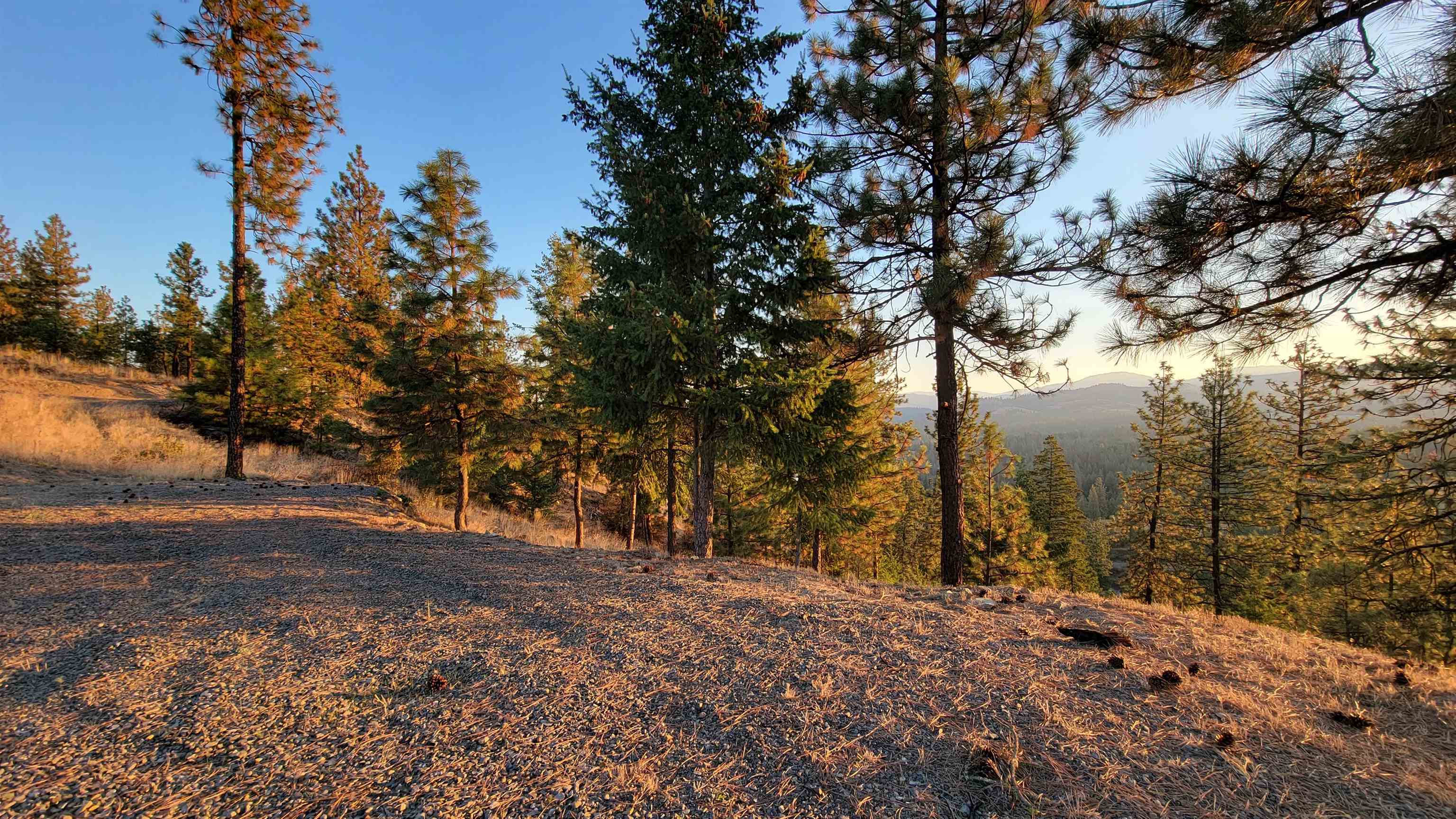 5300 Moose Tracks Way - Photo 6