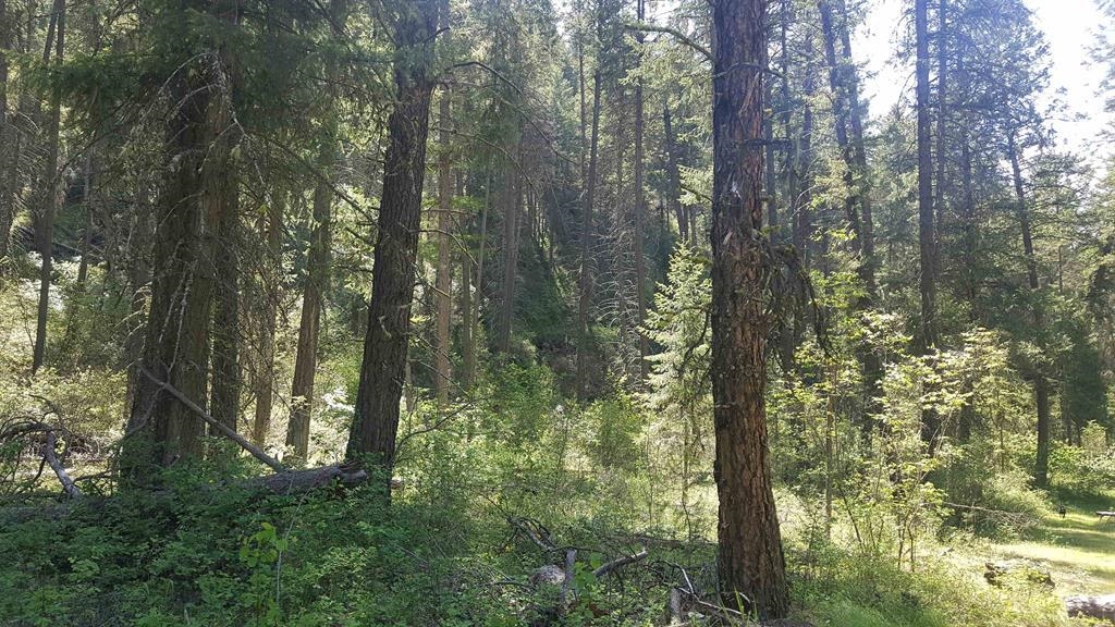 5300 Moose Tracks Way - Photo 8